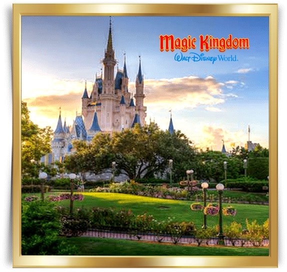 Disney VIP Tours