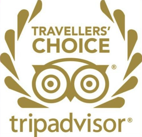 TripAdvisor Travellers' Choice gold award — Magic VIP Tours Orlando